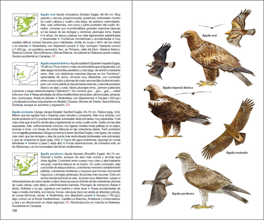 Pàgina de mostra Aves de España